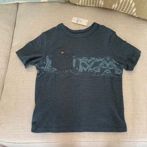 BabyGAP boys tee 2 yeas NWT